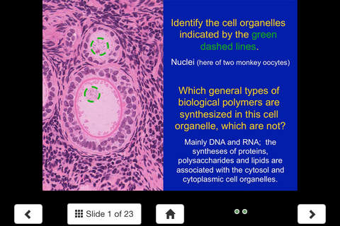 Histology - Basic Tissues screenshot 2
