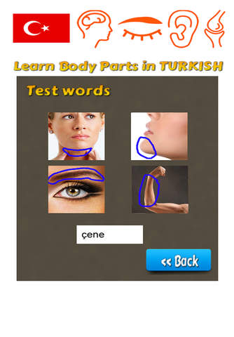 Learn Body Parts in Turkish screenshot 3