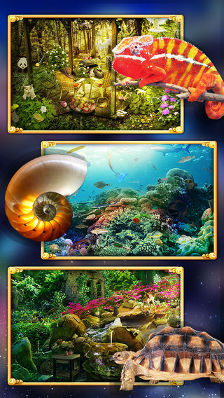 【免費遊戲App】Hidden Objects - Wild Animals-APP點子