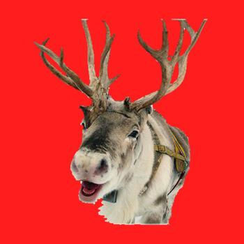 Reindeer Camera HD LOGO-APP點子