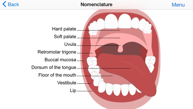 【免費教育App】Brush Timer: Dental Care Expert-APP點子