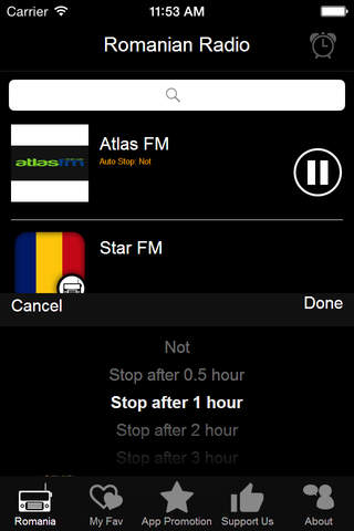 Romanian Radio screenshot 4