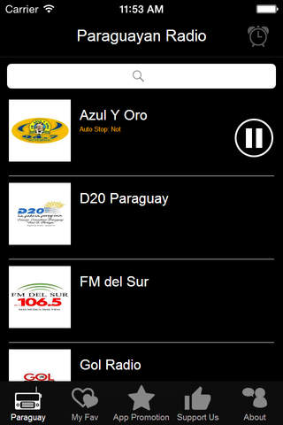 Paraguayan Radio screenshot 2
