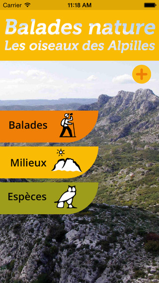 Les oiseaux des Alpilles