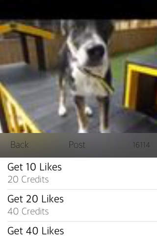 Magic Likes for Facebook Posts and Photos in Post screenshot 2