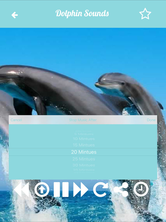 dolphin sounds free download