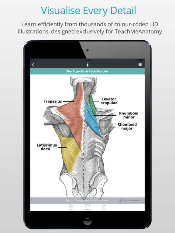 Perfect Best Anatomy App For Ipad For Medical Students with Epic Design ideas