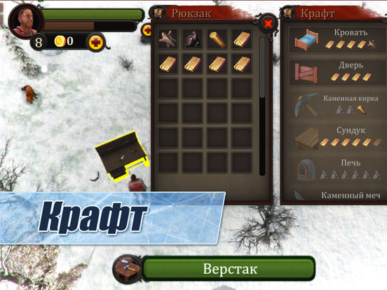 Winter Island CRAFTING GAME 3D Full на iPad