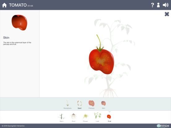iPad Screenshot 5