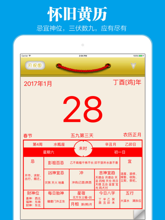 iPad Screenshot 2