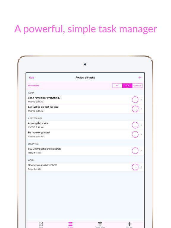 iPad Screenshot 1