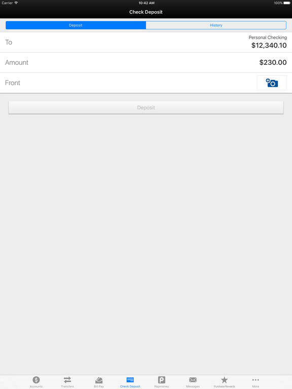 iPad Screenshot 5
