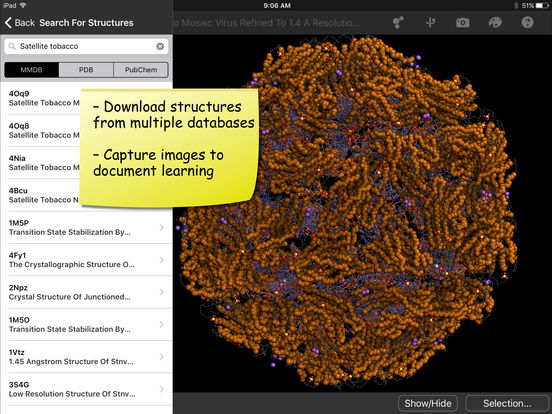 iPad Screenshot 2
