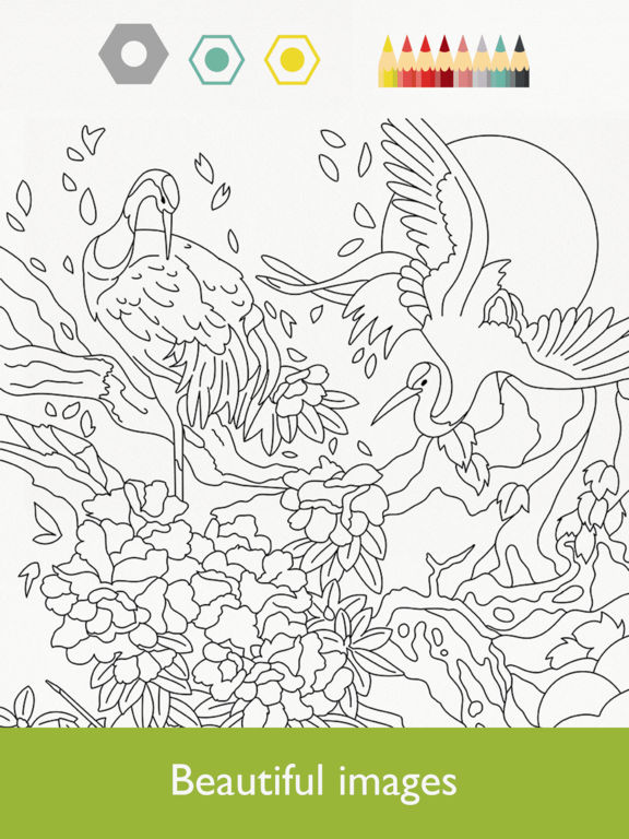 Colorfy: Coloring Book for Adults - Free Tips, Cheats, Vidoes and