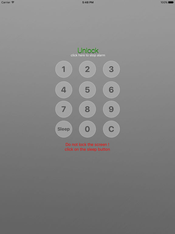 iPad Screenshot 4