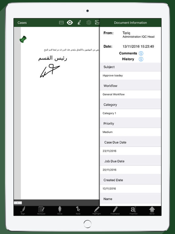 iPad Screenshot 4
