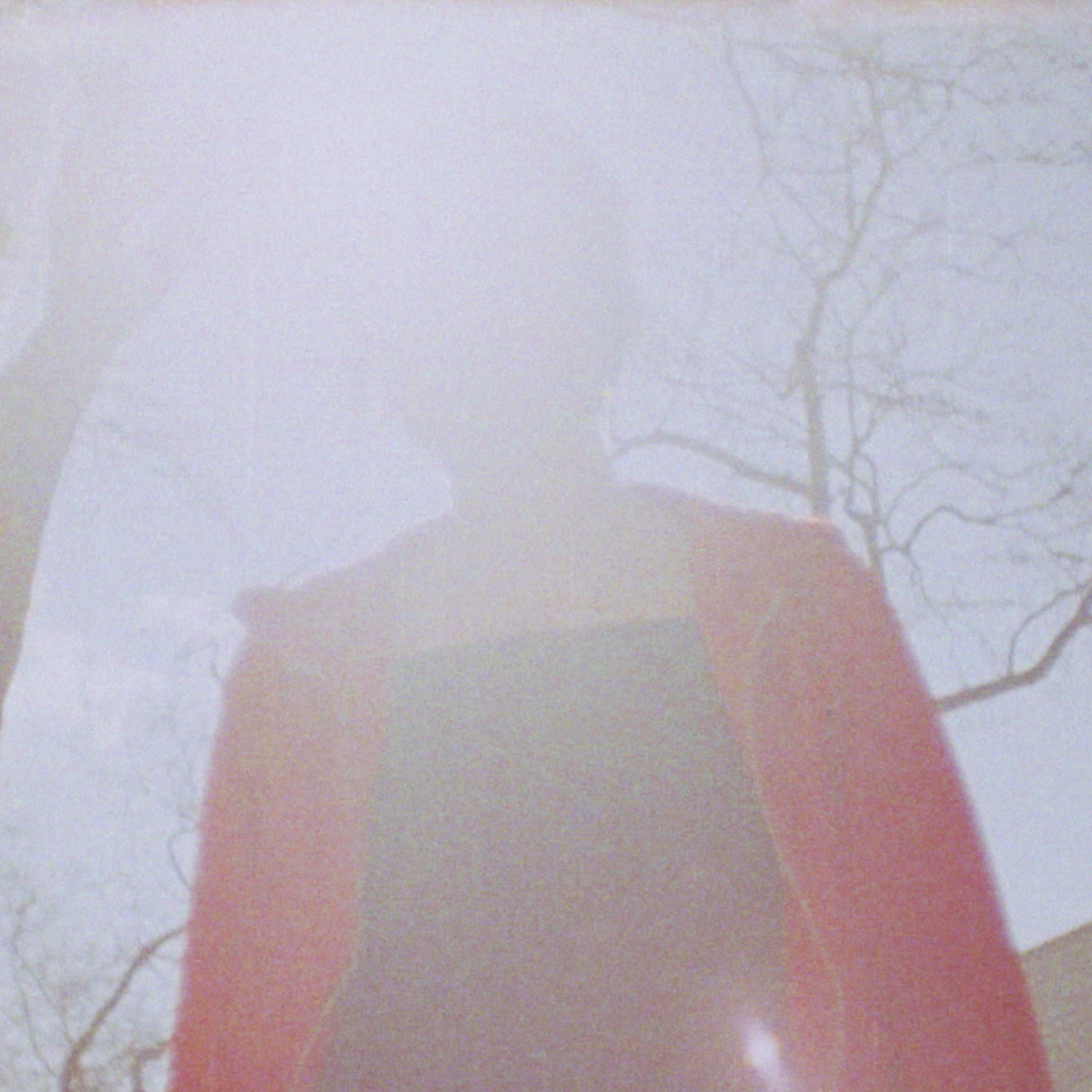 Winter — Hollow cover artwork