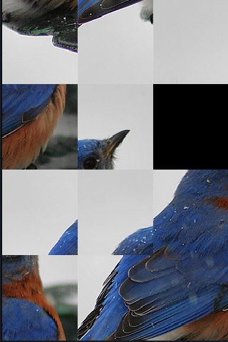 SlidePuzzle - Bluebird image #1