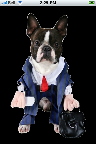 Business Man Dog Snow Globe image #1