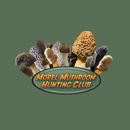 Morel Mushroom Hunting Secrets By Chris Matherly