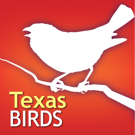 Audubon Birds Texas – A Field Guide to the Birds of Texas