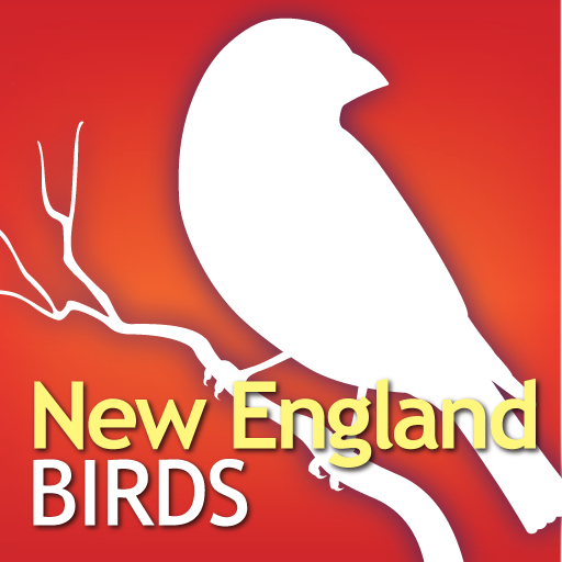 Audubon Birds New England – A Field Guide to the Birds of New England