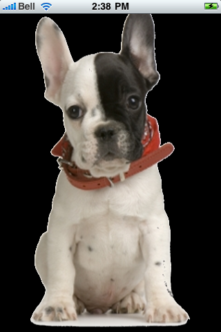 French Bulldog Snow Globe image #1