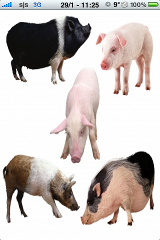 Pig Family Slide Puzzle image #1