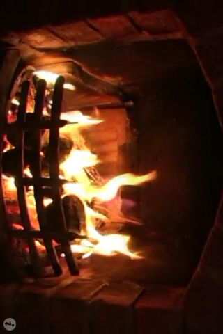 The Fire image #1