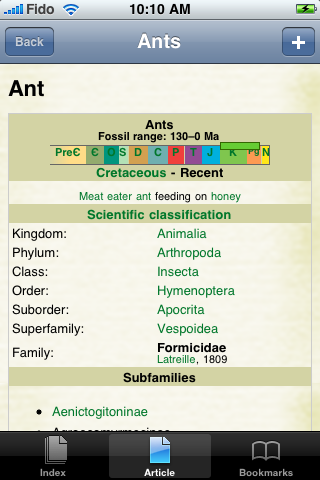 Ants Study Guide image #1