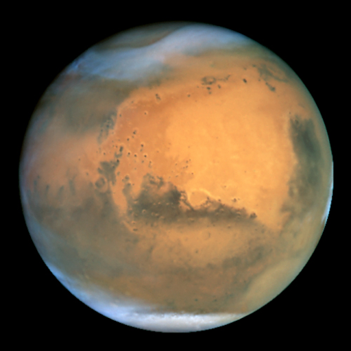 Life on Mars Study Guide