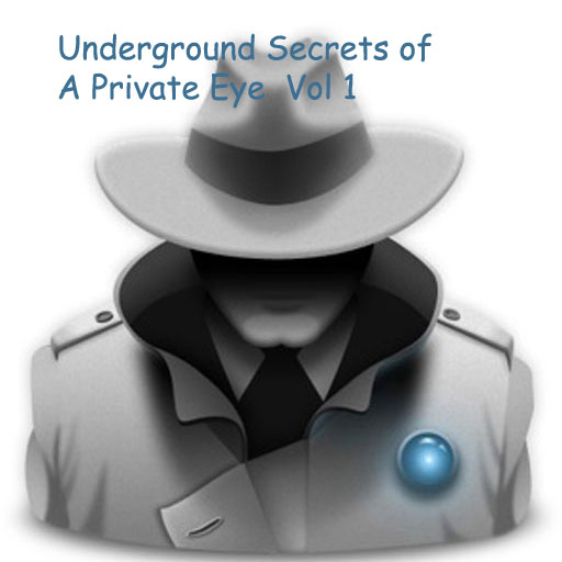 Underground Secrets of A Private Eye  Vol 1 \"The Art of Infidelity\"
