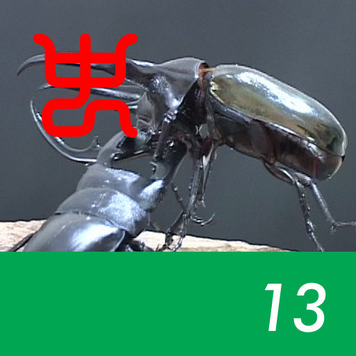 The world's strongest king of insect decision Vol.1 - 13.Caucasus beetle VS Palawan stag beetle