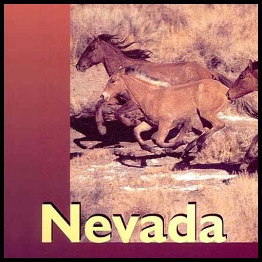 Nevada Adventure Guide