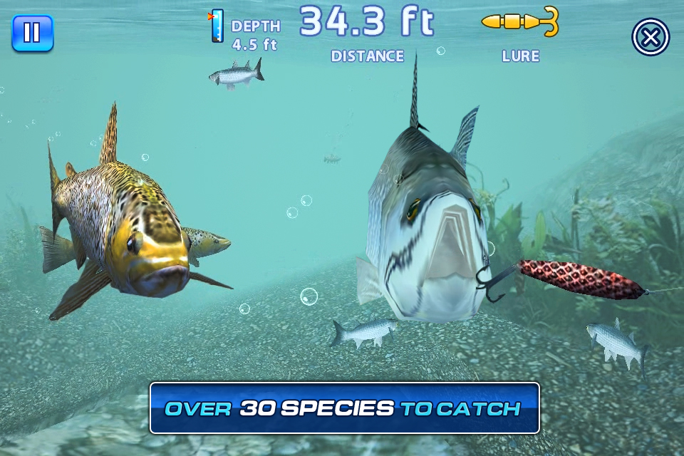 Fishing Kings Free+ Games Entertainment Arcade Sports free app for ...