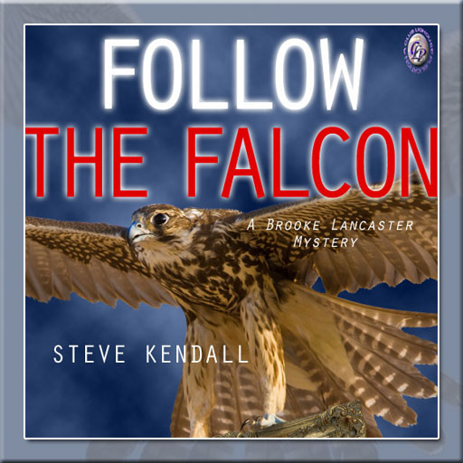 Follow The Falcon