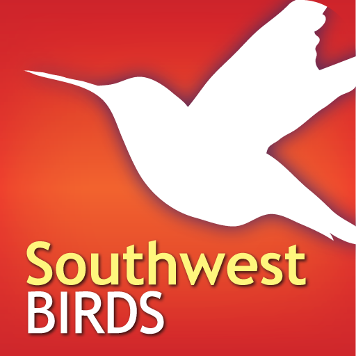 Audubon Birds Desert Southwest – A Field Guide to the Birds of the Southwest