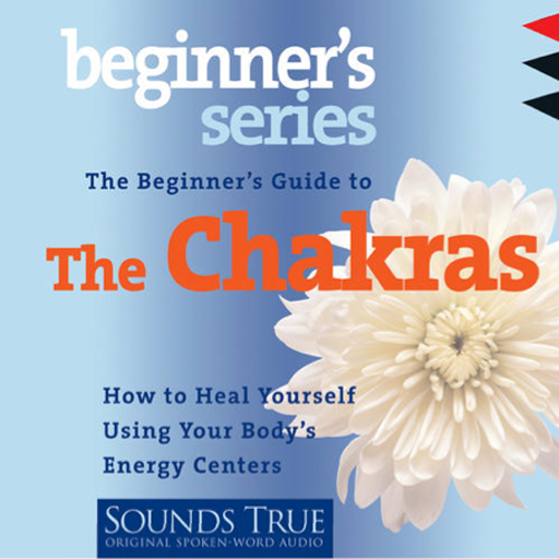 The Beginner's Guide To The Chakras How to Heal Yourself Using Your Body's Energy Centers by Anodea Judith