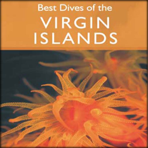 Best Dives Of The Virgin Islands