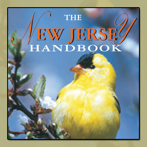 The New Jersaey Handbook