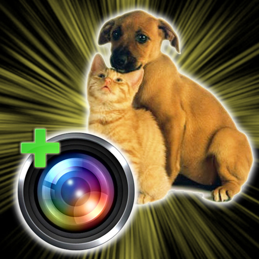 Pet Camera