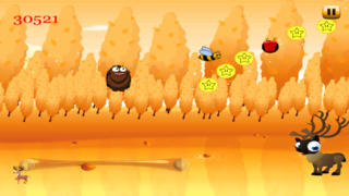 Hedgehog Bouncing Party In The Gold Wild Forest - Gold Edition screenshot 3