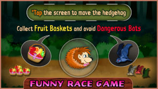 HedgeHog Bouncing Funny Forest Race screenshot 2