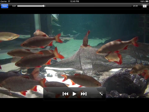 Aquarium Videos 3D screenshot 10