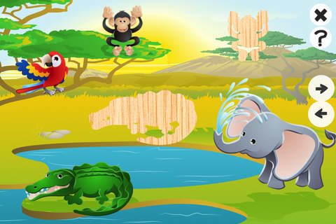 A Find the Shadow Jungle Learning Game for Childre - náhled