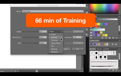 AV for Illustrator CC 103 - Brushes and Color - náhled