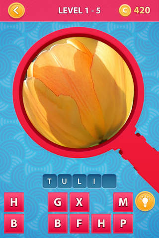 Zoom Pics - close up zoomed images and guess words - náhled
