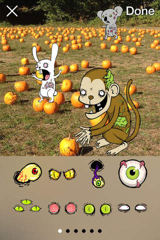 Kachenstein: Punk Rock, Celluloid and Living Dead - náhled