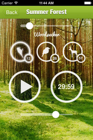 Forest Sound for Sleep and Meditation - náhled