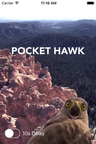 Pocket Hawk - náhled